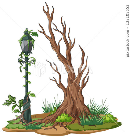 Overgrown Street Lamp Beside Leafless Tree in Abandoned Setting Overgrown Street Lamp Beside Leafless Tree in Abandoned Setting 138105552