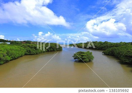 Mangrove forest along the Miyara River, Ishigaki Island, Okinawa Prefecture Mangrove forest along the Miyara River, Ishigaki Island, Okinawa Prefecture 138105692