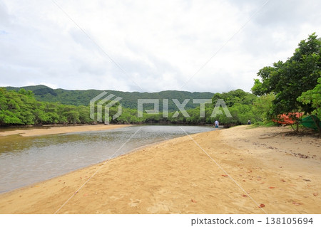 沖繩縣石垣島吹取川的紅樹林 沖繩縣石垣島吹取川的紅樹林 138105694