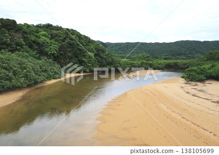 Mangrove forests of the Fukidori River, Ishigaki Island, Okinawa Prefecture Mangrove forests of the Fukidori River, Ishigaki Island, Okinawa Prefecture 138105699