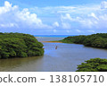 Mangroves of Miyara River, Ishigaki Island, Okinawa Prefecture 138105710