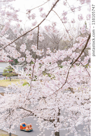 "Aomori Prefecture" Hachinohe Park and Children's Land in Hachinohe City, where cherry blossoms are in full bloom. "Aomori Prefecture" Hachinohe Park and Children's Land in Hachinohe City, where cherry blossoms are in full bloom. 138105747