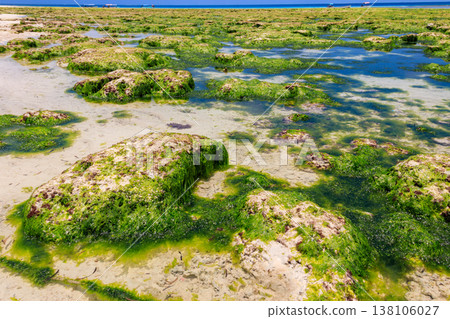 View of the Indian ocean at low tide, Zanzibar, Tanzania 138106027
