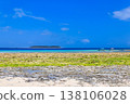 View of the Indian ocean at low tide, Zanzibar, Tanzania 138106028