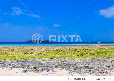 View of the Indian ocean at low tide, Zanzibar, Tanzania View of the Indian ocean at low tide, Zanzibar, Tanzania 138106028