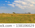 View of Serengeti national park, Tanzania 138106029