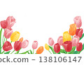 Watercolor illustration background material of tulips 138106147
