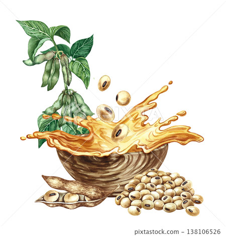 Soybean oil. Hand-drawn watercolor illustration. A splash of oil in a wooden bowl, soybeans, and plants. Perfect for creating labels, advertisements, packaging, banners, posters, and more. Soybean oil. Hand-drawn watercolor illustration. A splash of oil in a wooden bowl, soybeans, and plants. Perfect for creating labels, advertisements, packaging, banners, posters, and more. 138106526