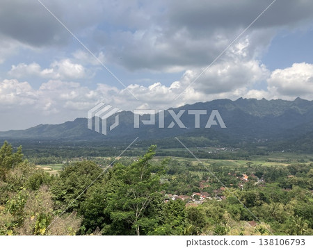 Indonesia, Java Island, jungle 138106793
