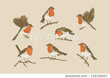 Set of  hand-drawn robins. Colorful 138108007