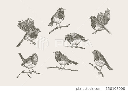 Set of seven black and white birds 138108008