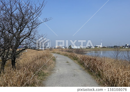 一隻黃鼠狼從湖邊小路跳了出來。 一隻黃鼠狼從湖邊小路跳了出來。 138108076