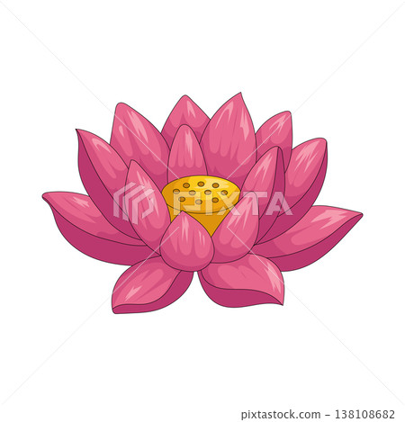 Illustration of lotus flower  138108682