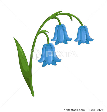 Illustration of bluebell Illustration of bluebell 138108696