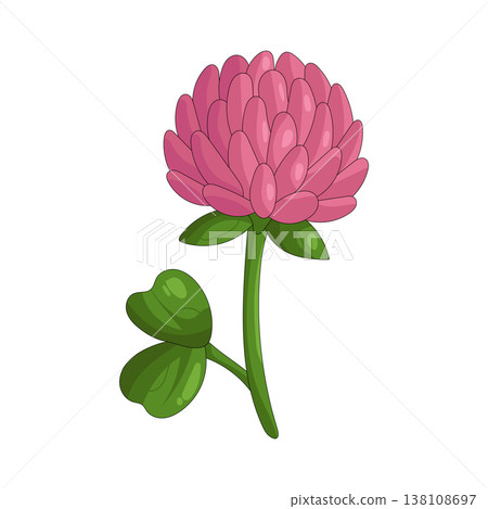 Illustration of clover flower Illustration of clover flower 138108697