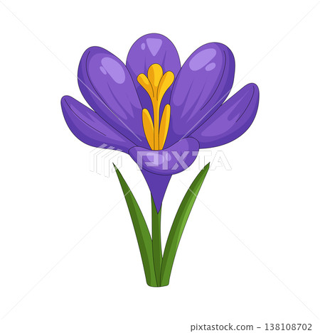 Illustration of crocus flower 138108702