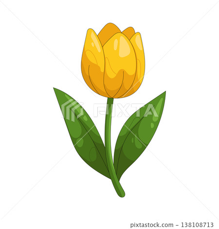 Illustration of yellow tulip Illustration of yellow tulip 138108713