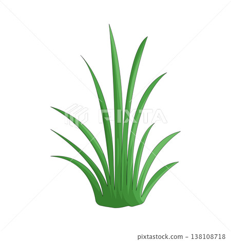 Illustration of grass Illustration of grass 138108718