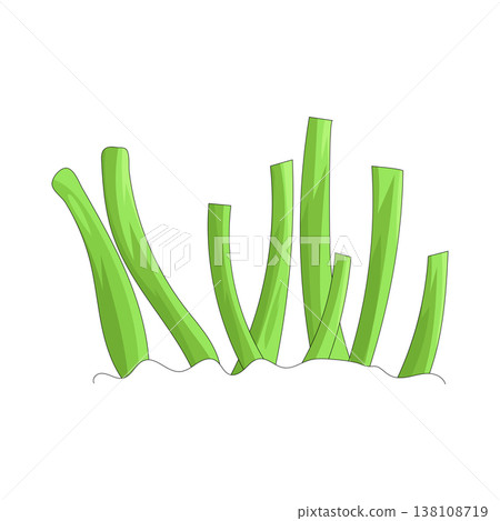 Illustration of grass Illustration of grass 138108719