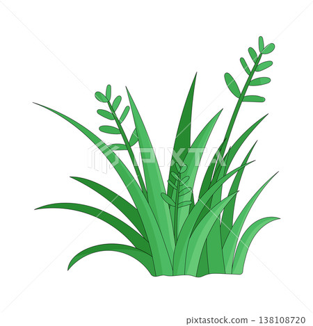 Illustration of grass 138108720