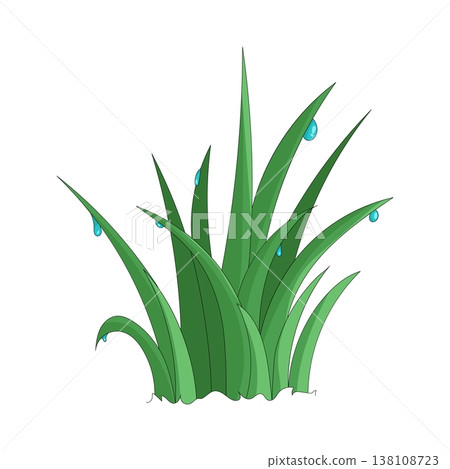 Illustration of grass Illustration of grass 138108723