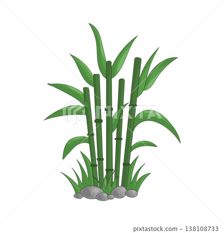 Illustration of bamboo with grass Illustration of bamboo with grass 138108733