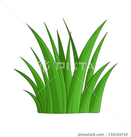 Illustration of grass Illustration of grass 138108742