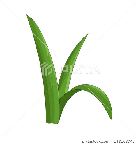 Illustration of grass  138108743