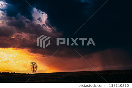 Lonely tree in a field under a dramatic stormy sunset Lonely tree in a field under a dramatic stormy sunset 138110210