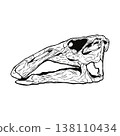 Edmontosaurus skull fossil (monochrome) 138110434