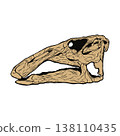 Edmontosaurus skull fossil 138110435