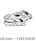 Apatosaurus skull fossil (monochrome) 138110436