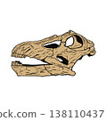 Apatosaurus skull fossil 138110437