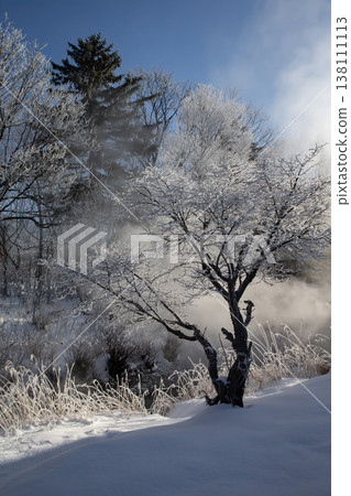川湯溫泉的蒸汽 138111113