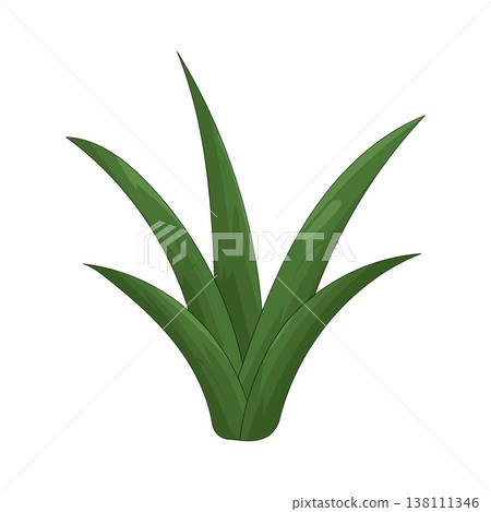 Illustration of grass Illustration of grass 138111346