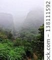 A misty valley with a lush fern landscape 138111592