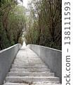 Looking up from the stone steps leading through the forest tunnel 138111593