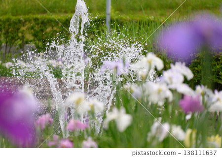 A flower field and a fountain with splashing water. 138111637