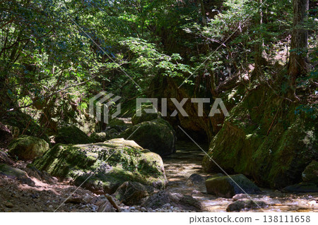 【千和峽谷】一條泉水溪流,綠意盎然,生氣勃勃 【千和峽谷】一條泉水溪流,綠意盎然,生氣勃勃 138111658
