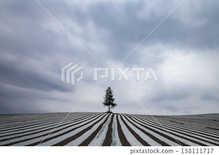 斑馬山 斑馬山 138111717