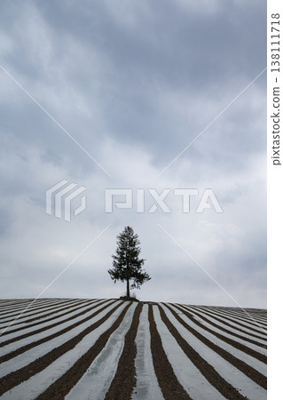 斑馬山 斑馬山 138111718