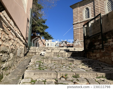 Cats at Laleli Mosque in Istanbul, Turkey Cats at Laleli Mosque in Istanbul, Turkey 138111798
