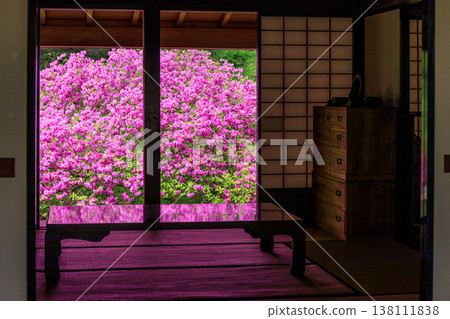 Yodogawa azalea blooming behind the reception hall of Usu Zenkoji Temple in Date City, Hokkaido [May] 138111838