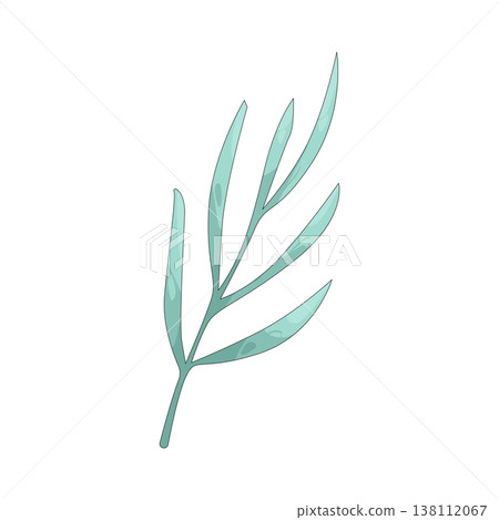 Illustration of leaf 138112067