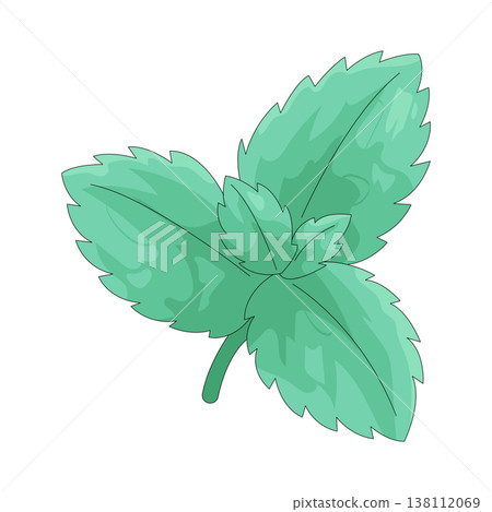 Illustration of mint leaf 138112069