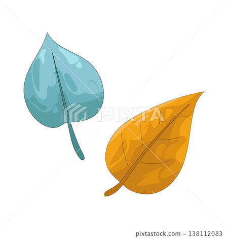 Illustration of leaf 138112083