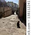 A scene with cats in Istanbul, Turkey. 138112241