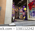 A scene with cats in Istanbul, Turkey. 138112242