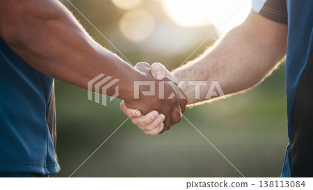 Handshake, partnership and trust, support and teamwork with congratulations or thank you. Introduction, success and people shaking hands for solidarity, welcome in community and collaboration meeting 138113084