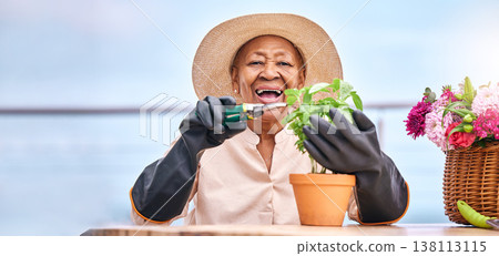 Gardening, senior and woman prune plant with happiness outdoor in nature for spring, flowers and growth. Smile, black person and leaves in backyard of home for vegetable care or agriculture for food Gardening, senior and woman prune plant with happiness outdoor in nature for spring, flowers and growth. Smile, black person and leaves in backyard of home for vegetable care or agriculture for food 138113115